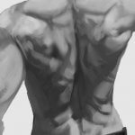 【模写練習】一日目~筋肉：背中